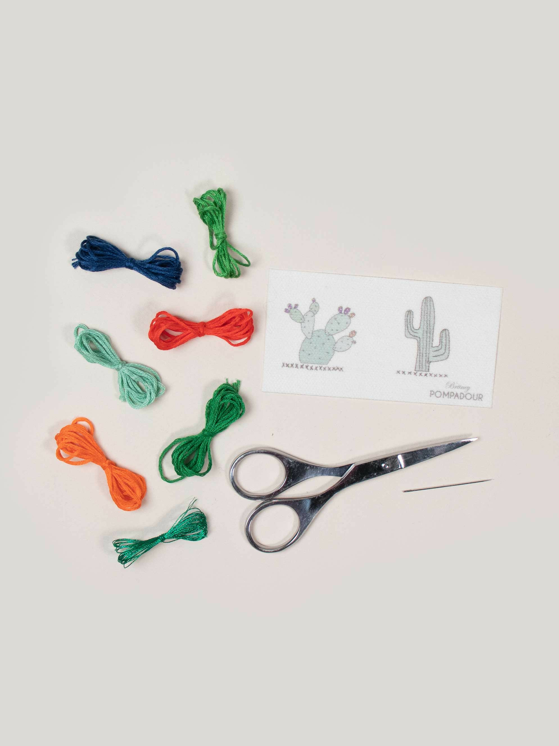 Kit de broderie cactus et figuier de barbarie