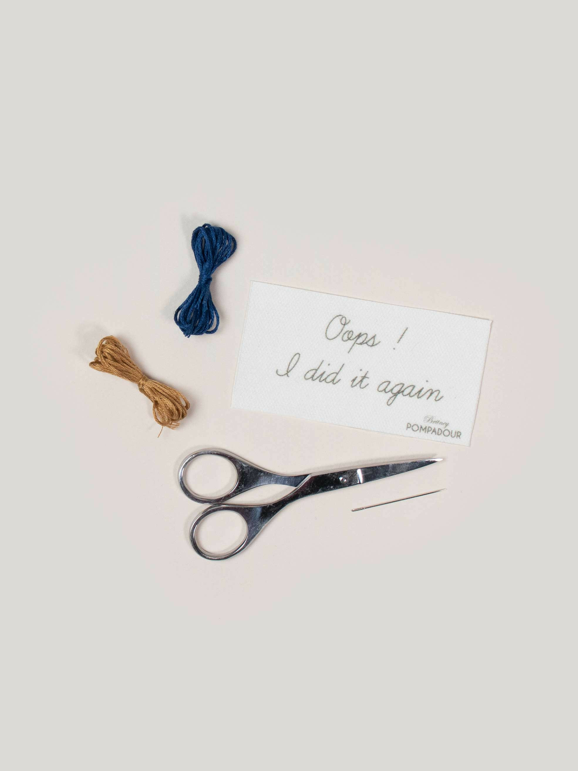 kit-de-broderie-oops-i-did-it-again