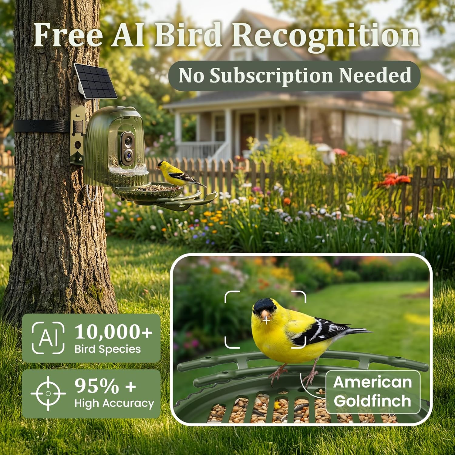 81Q7gQrQZqL._AC_SL1500_