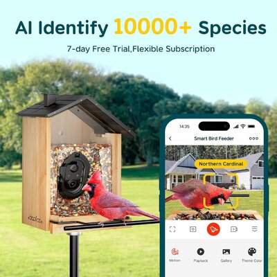 81p1mUqBxbL._AC_SL1500_