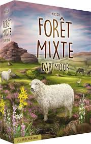 FORET MIXTE DARTMOOR