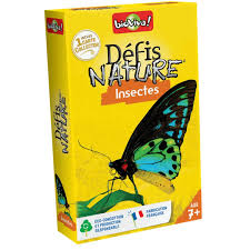 DEFIS NATURE INSECTES