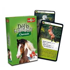 DEFIS NATURE CHEVAUX