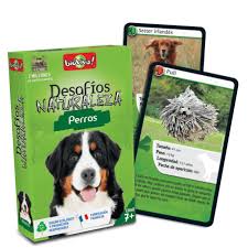 DEFIS NATURE CHIENS