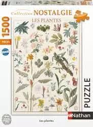 LES PLANTES
