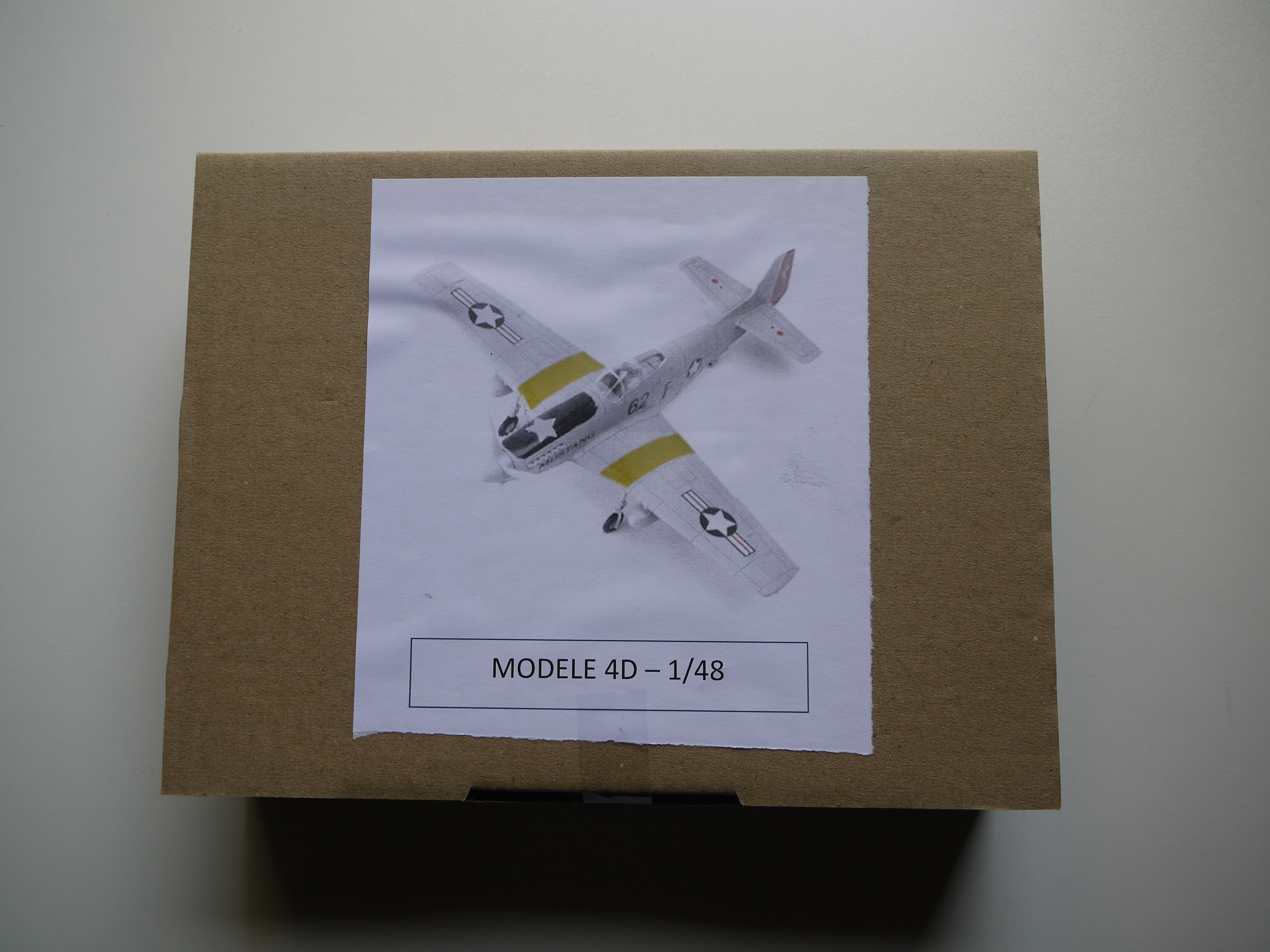 P51 (1)