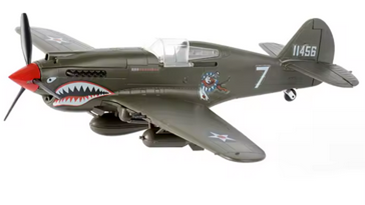 p40  (1)