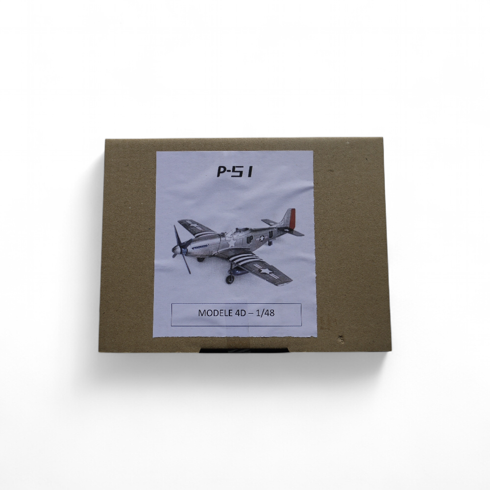 p51-gris-2
