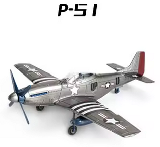 p51 gris  (1)