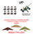 GHQ Bofors français  (1)