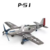 p51 gris  (1)