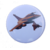 Bi-Rafale