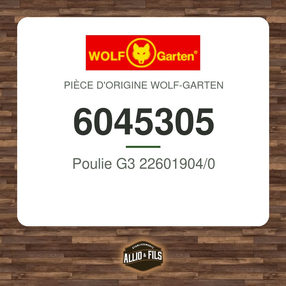 Poulie G3 22601904/0 - Wolf-Garten 6045305