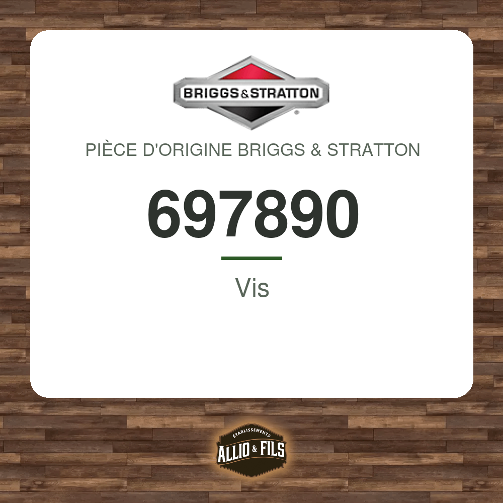 Vis - Briggs & Stratton 697890
