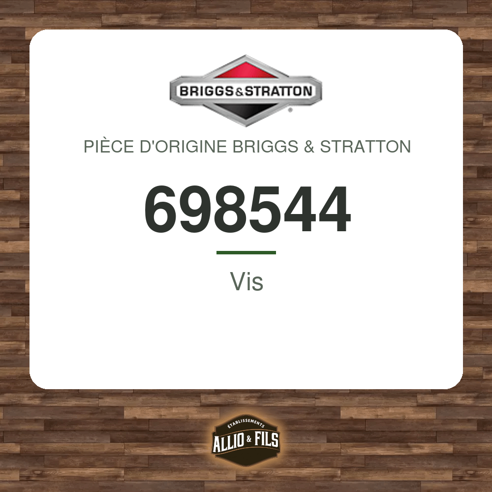 Vis - Briggs & Stratton 698544