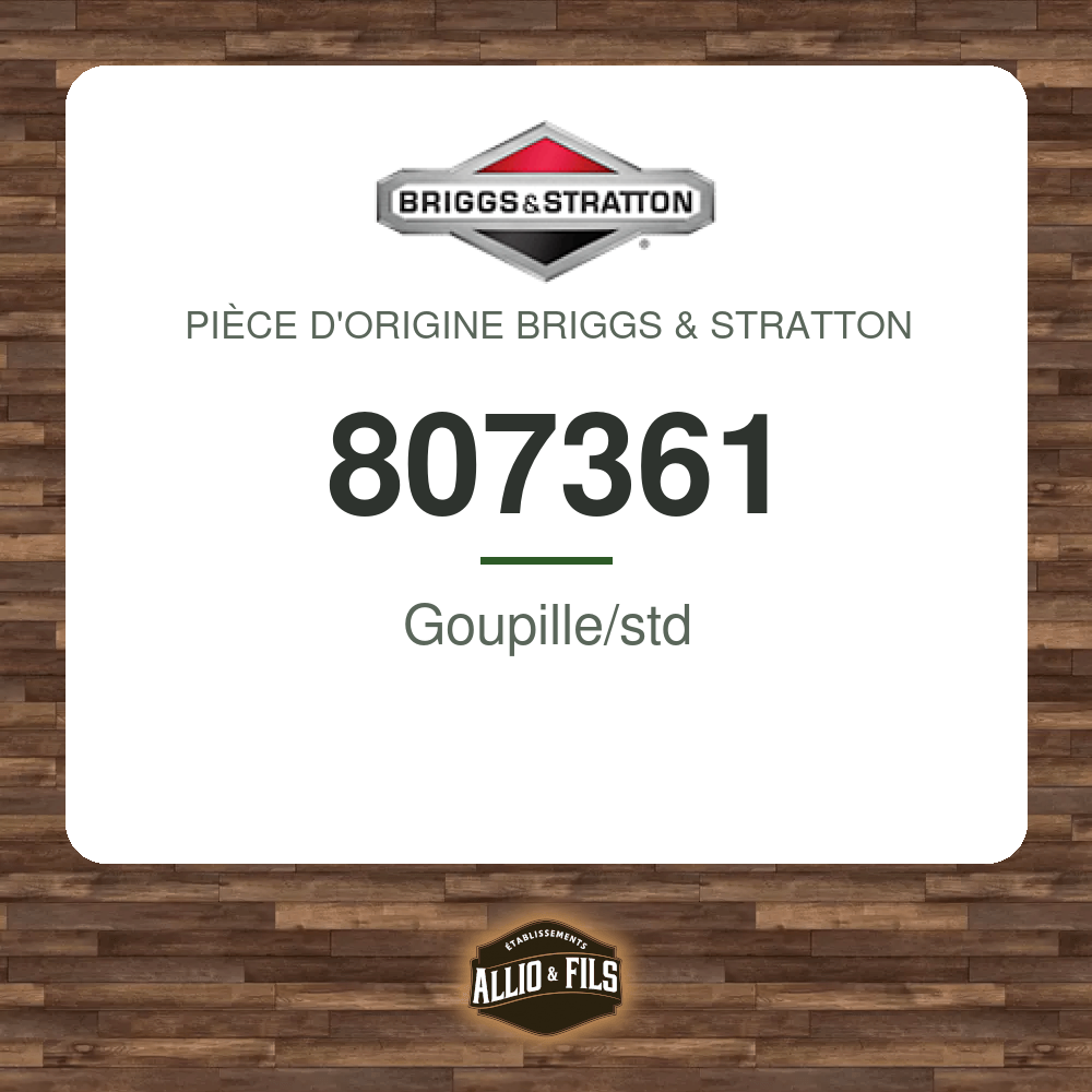Goupille/std - Briggs & Stratton 807361