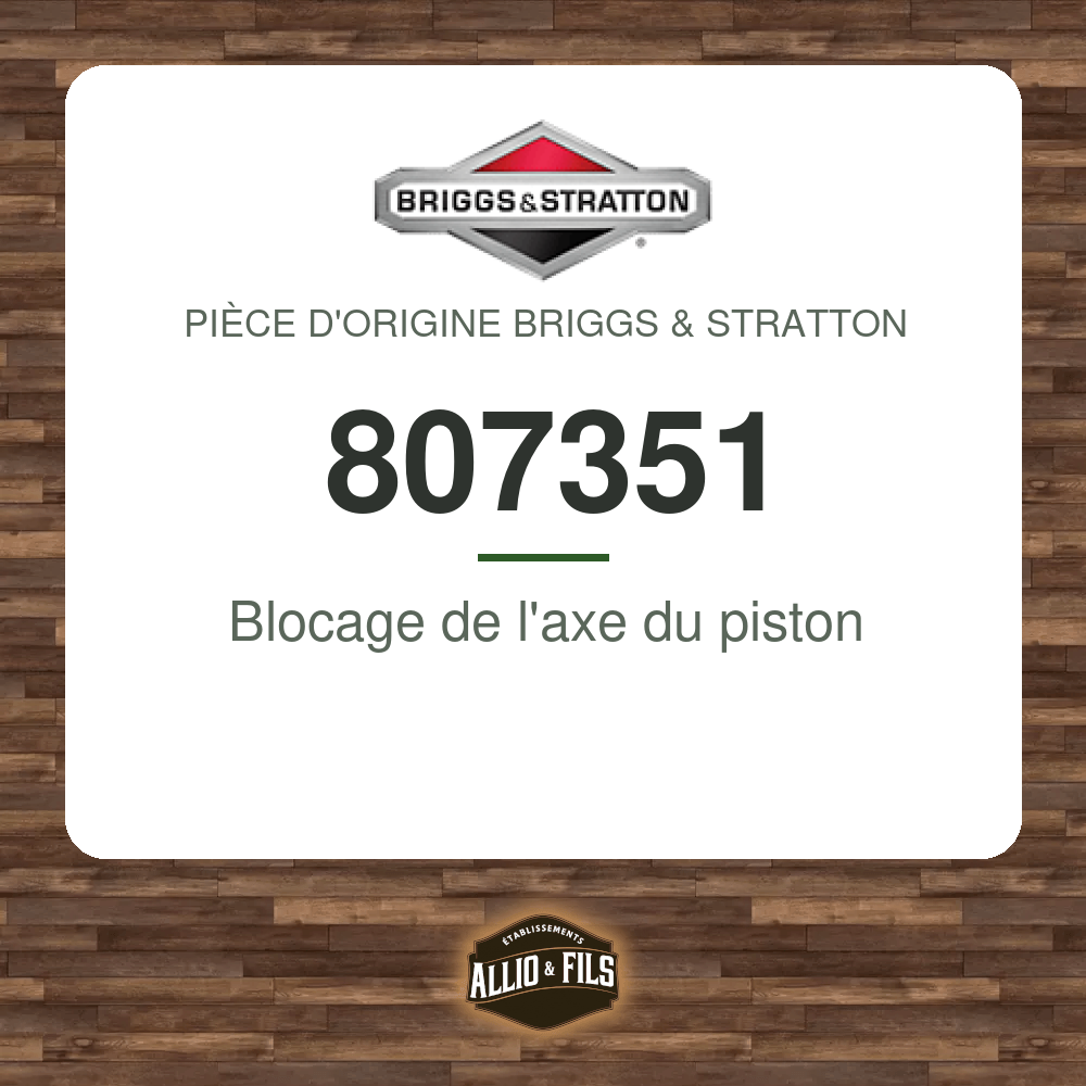 Blocage de l'axe du piston - Briggs & Stratton 807351