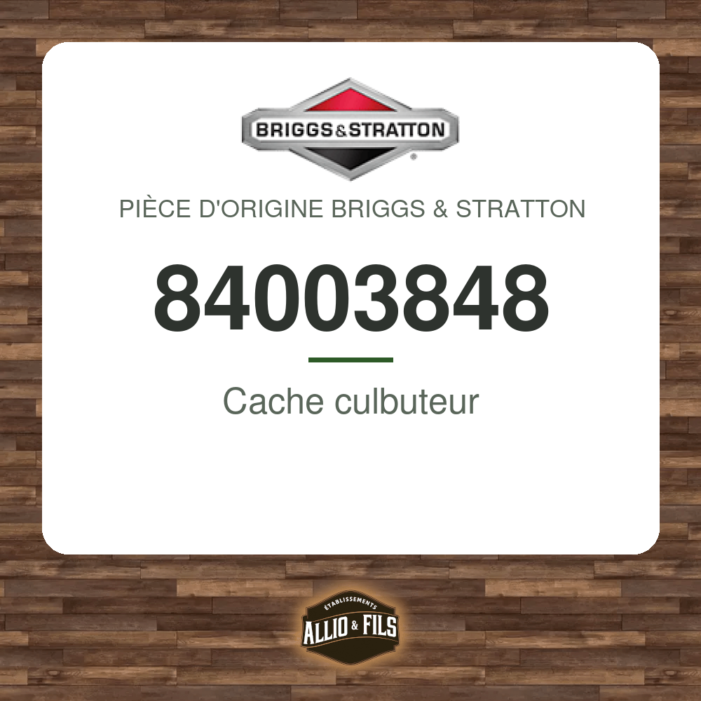 Cache culbuteur - Briggs & Stratton 84003848