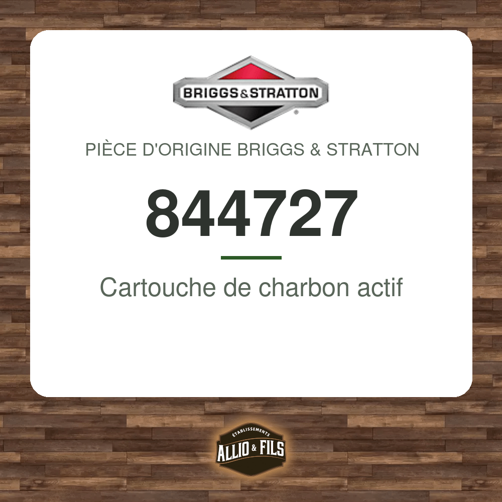 Cartouche de charbon actif - Briggs & Stratton 844727