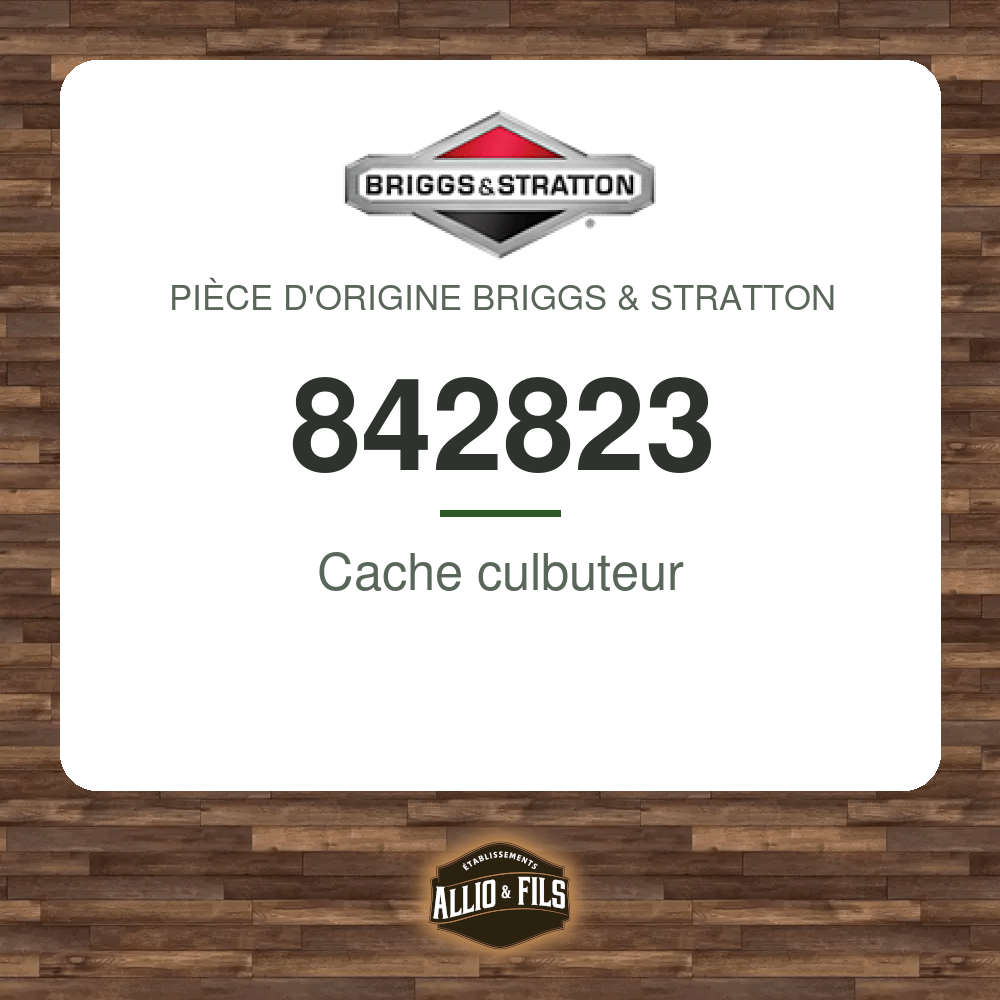 Cache culbuteur - Briggs & Stratton 842823