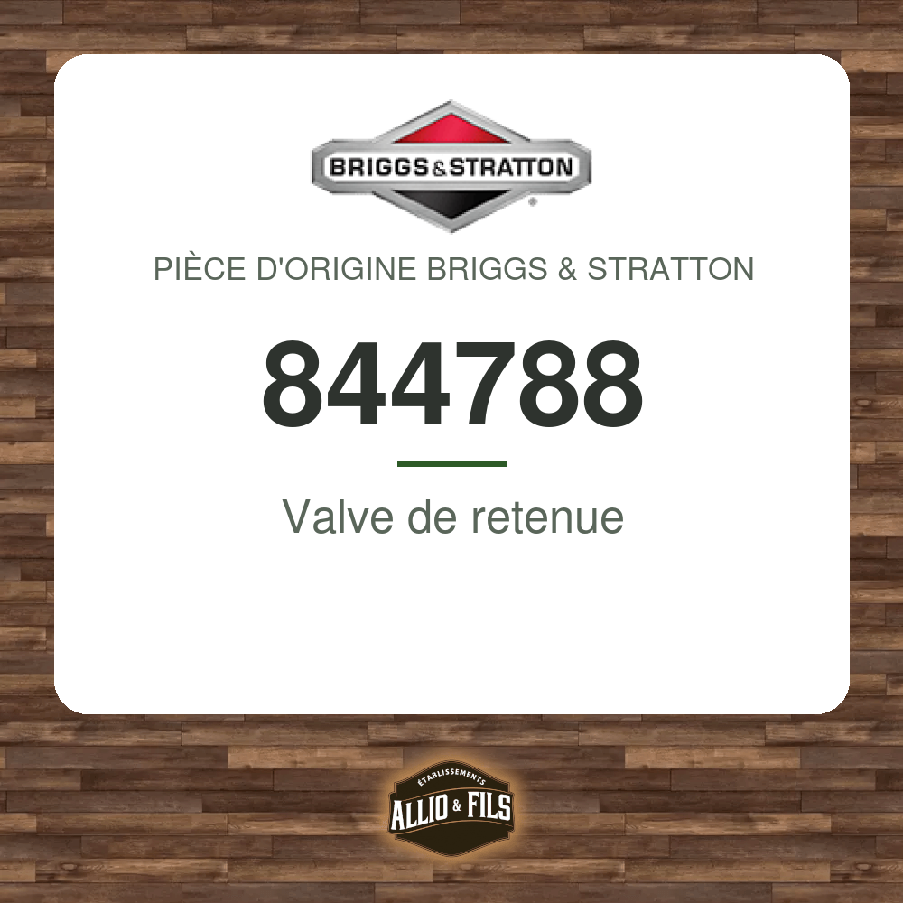 Valve de retenue - Briggs & Stratton 844788