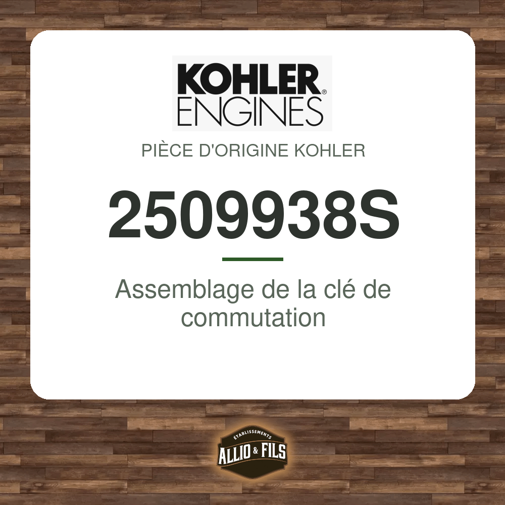 Assemblage de la clé de commutation - Kohler 2509938S