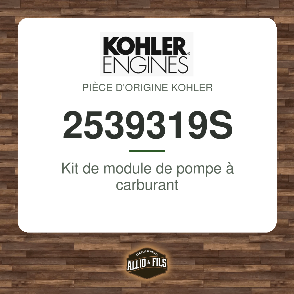 Kit de module de pompe à carburant - Kohler 2539319S