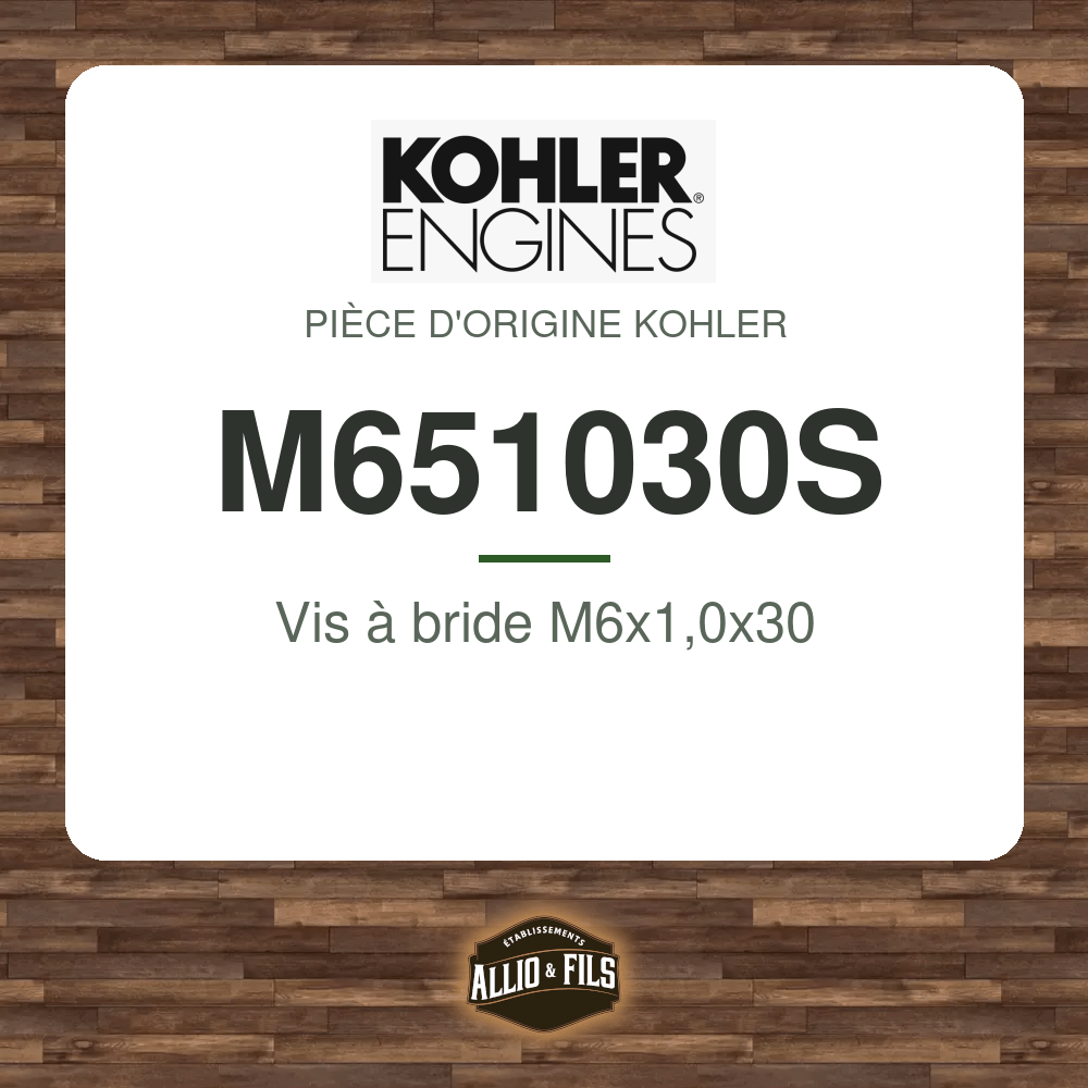 Vis à bride M6x1,0x30 - Kohler M651030S