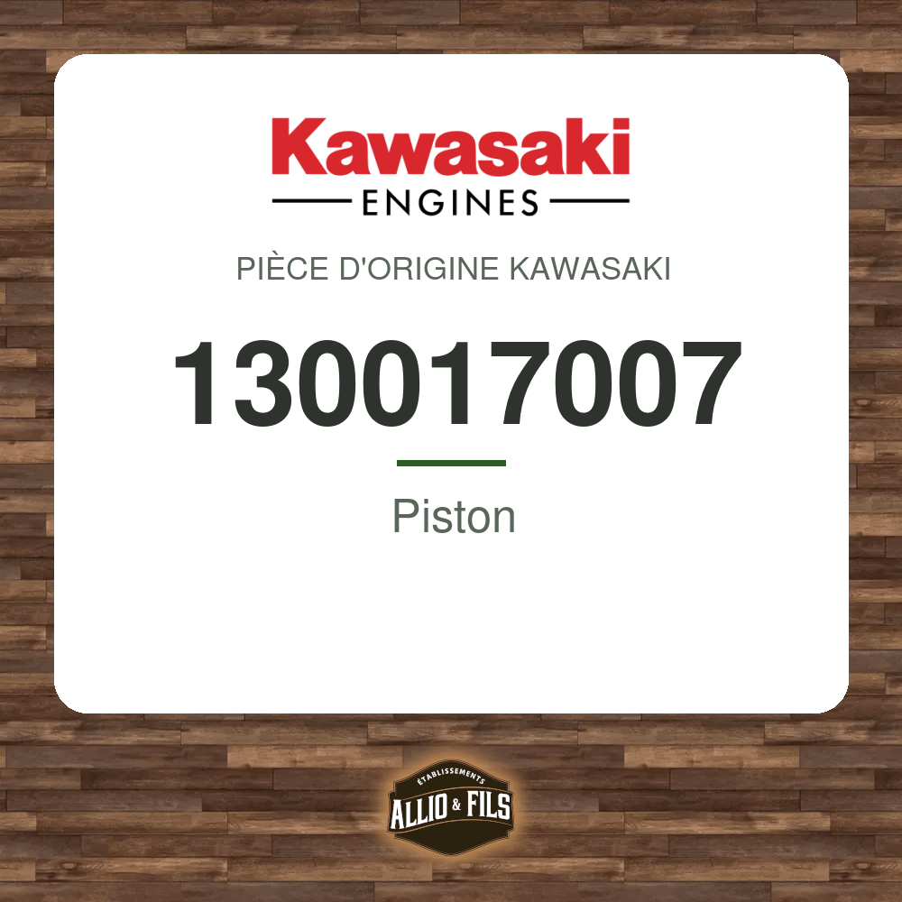 Piston - Kawasaki 130017007