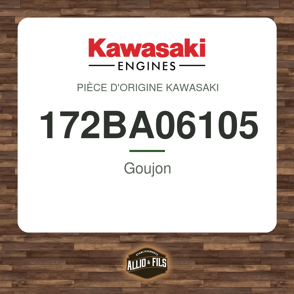 Goujon - Kawasaki 172BA06105