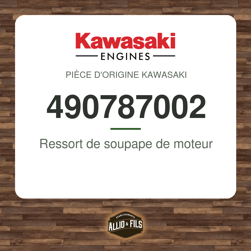 Ressort de soupape de moteur - Kawasaki 490787002