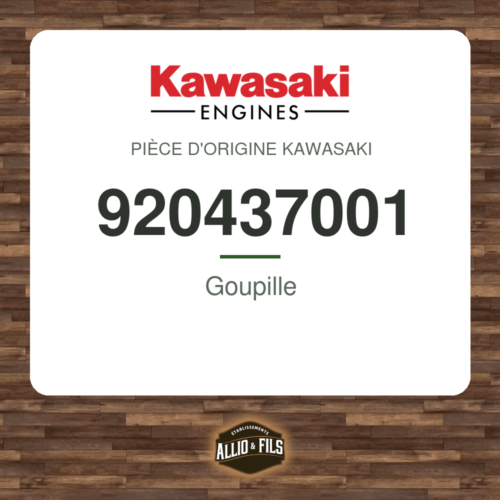 Goupille - Kawasaki 920437001