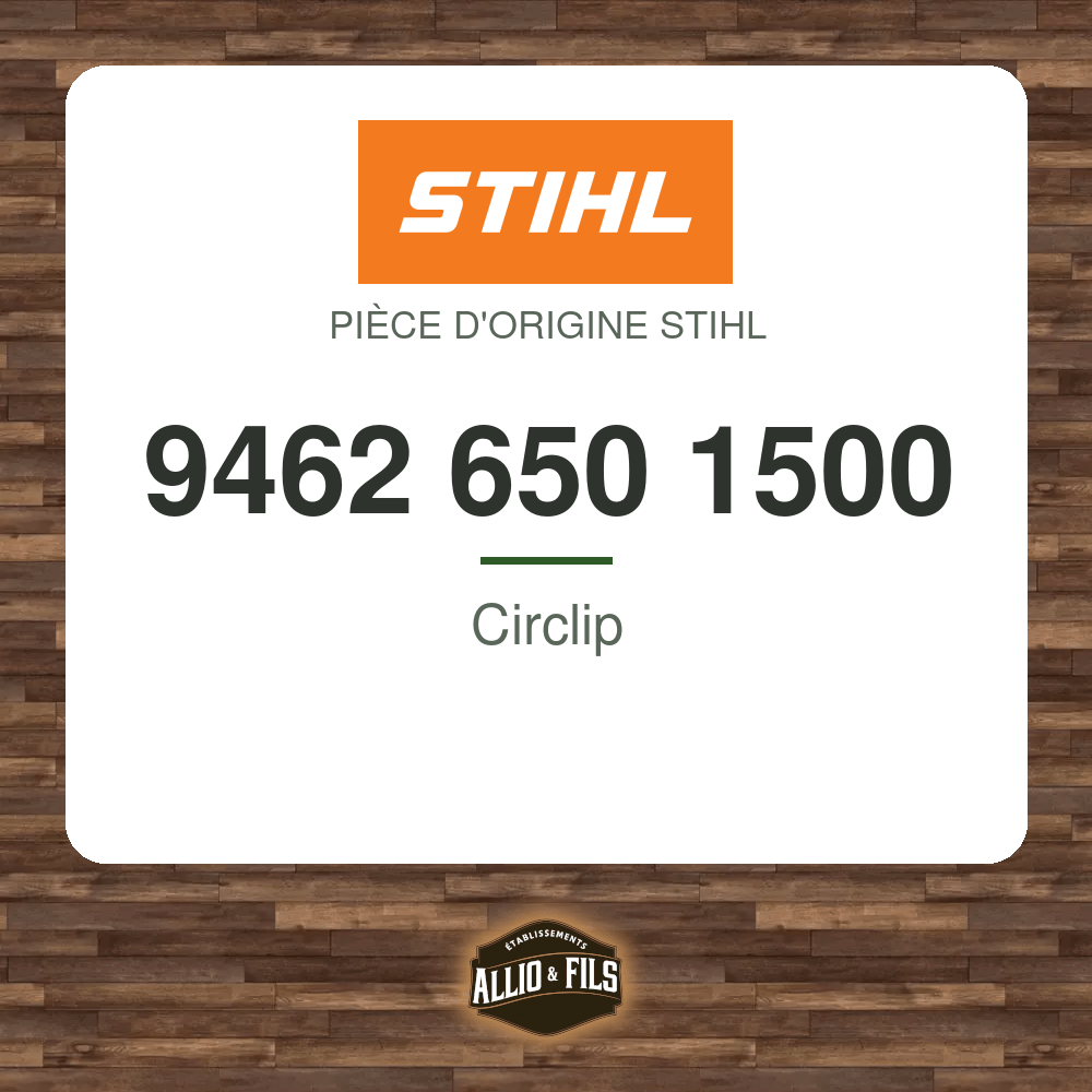 Circlip - Stihl 9462 650 1500