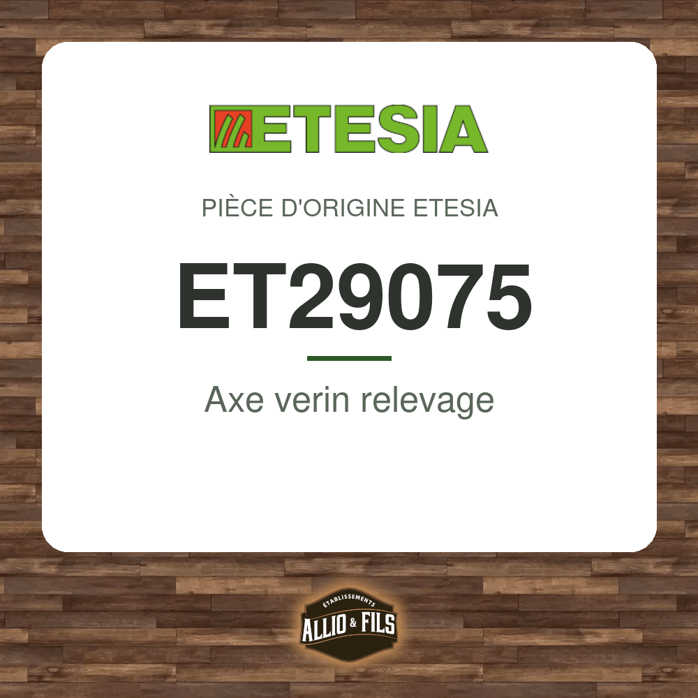 Axe verin relevage - Etesia ET29075