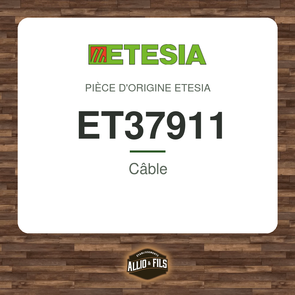 ?f=KEET37911-48031857