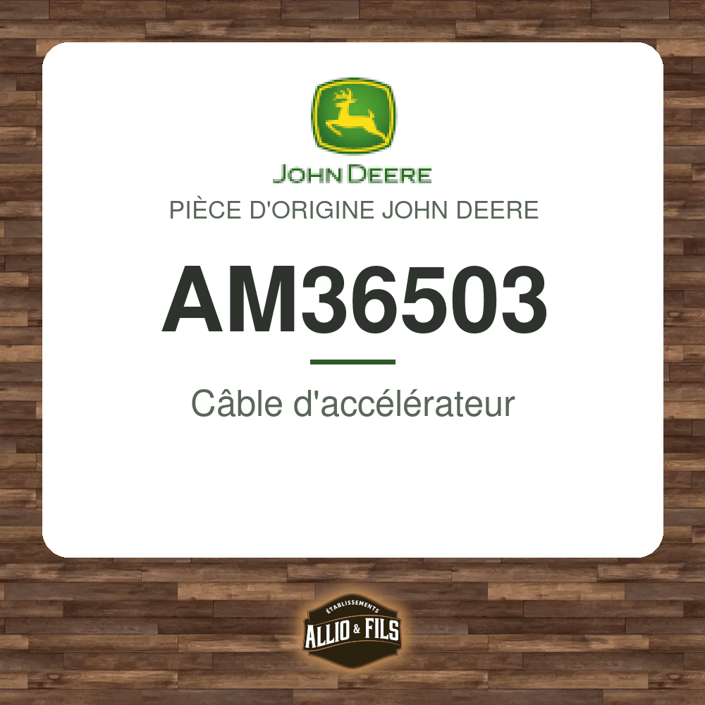 ?f=JOAM36503-48031857