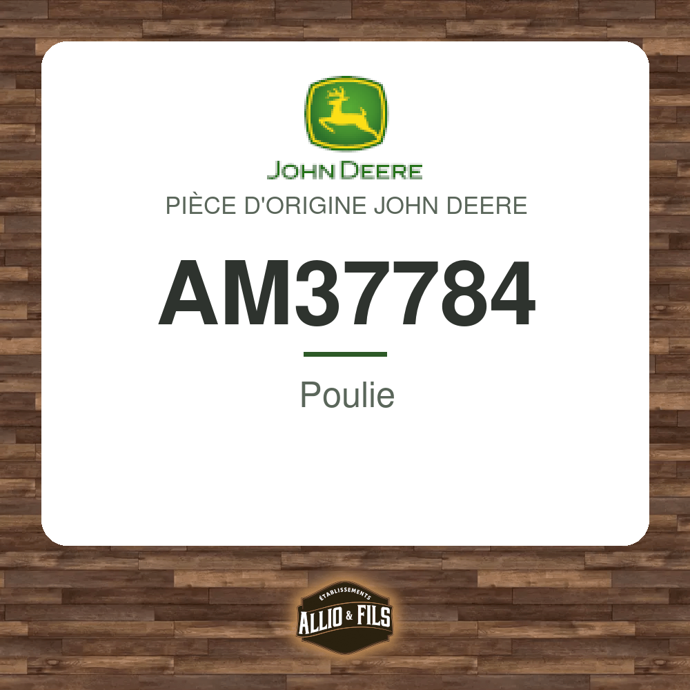 ?f=JOAM37784-48031857
