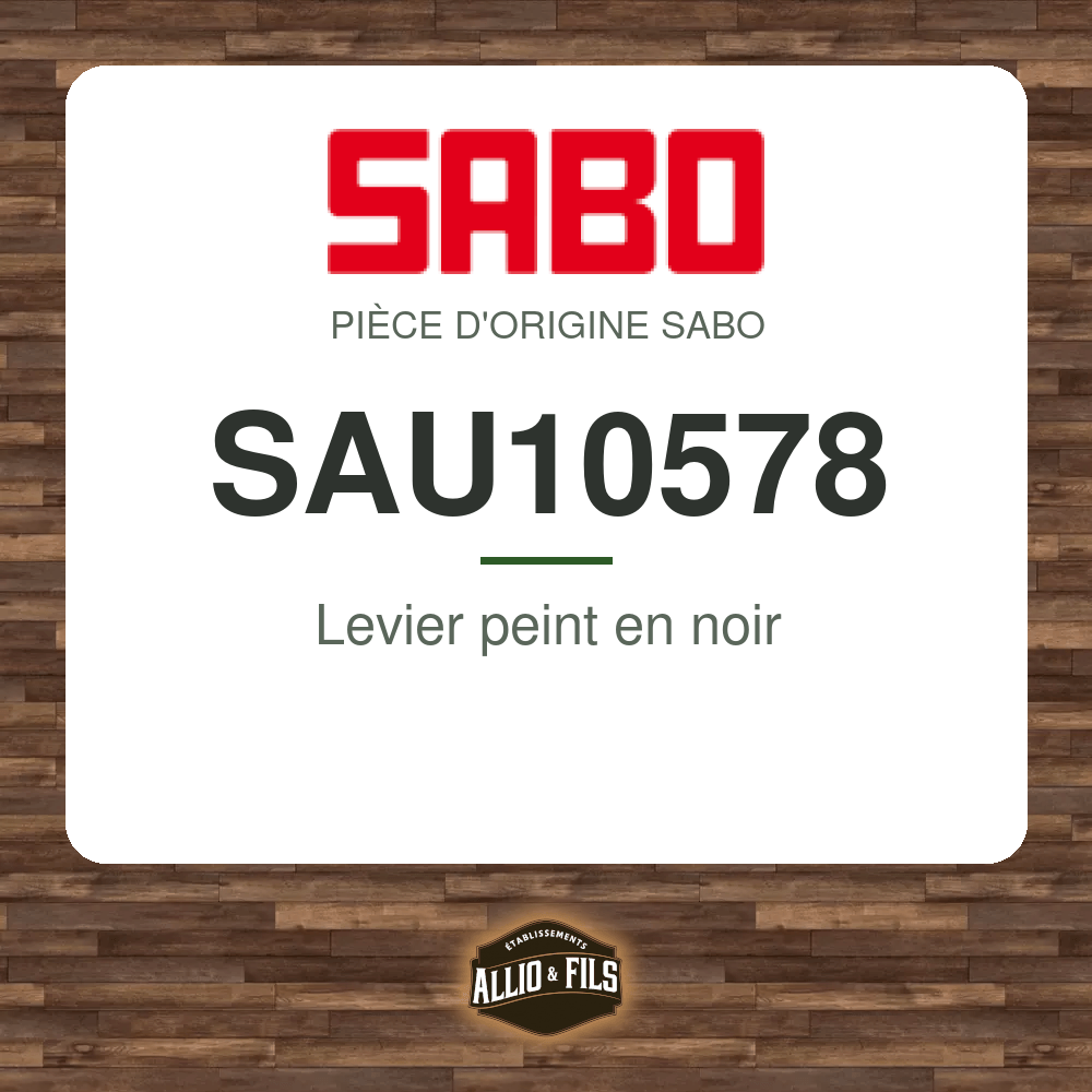 ?f=SASAU10578-121005