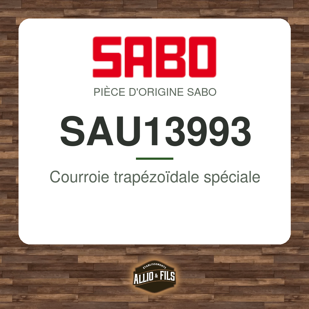 ?f=SASAU13993-121638