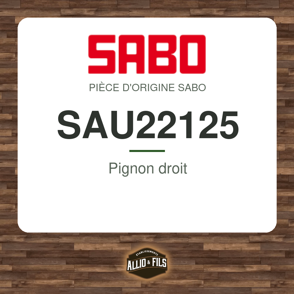 ?f=SASAU22125-121913