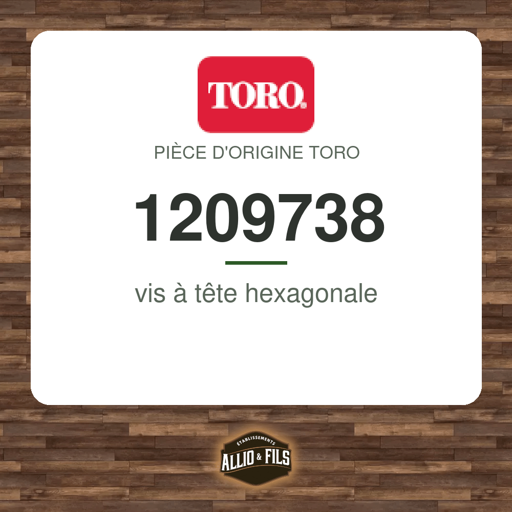 vis à tête hexagonale - Toro 1209738