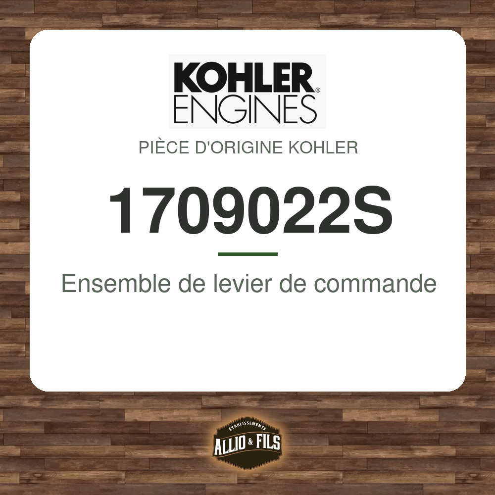 Ensemble de levier de commande - Kohler 1709022S