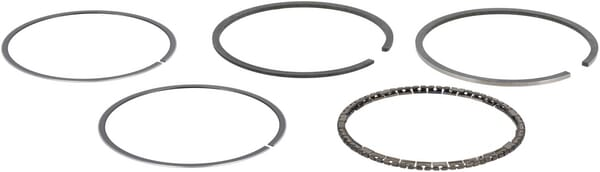 Ensemble de bagues standards - Briggs & Stratton 493782