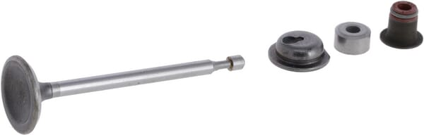 Soupape d'admission - Briggs & Stratton 590530