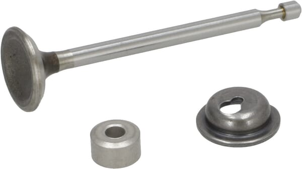 Soupape d'échappement - Briggs & Stratton 590531