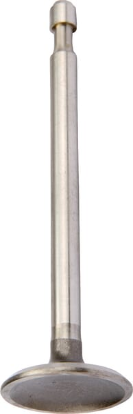 Soupape d'admission - Briggs & Stratton 590393