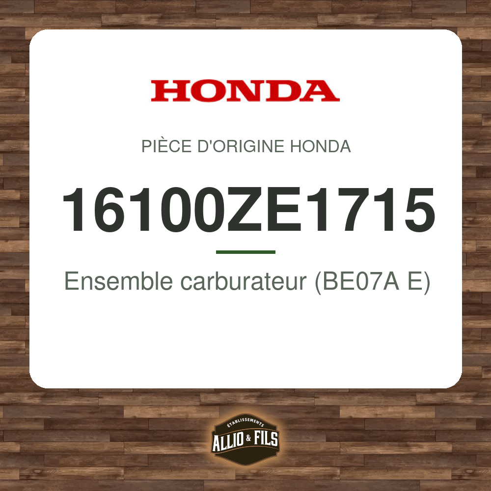 ?f=HO16100ZE1715-141940