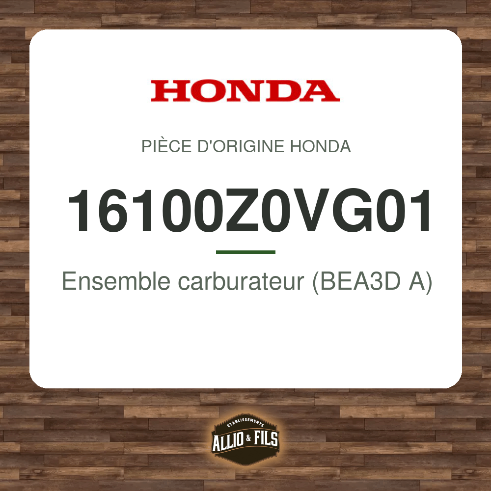 ?f=HO16100Z0VG01-141938