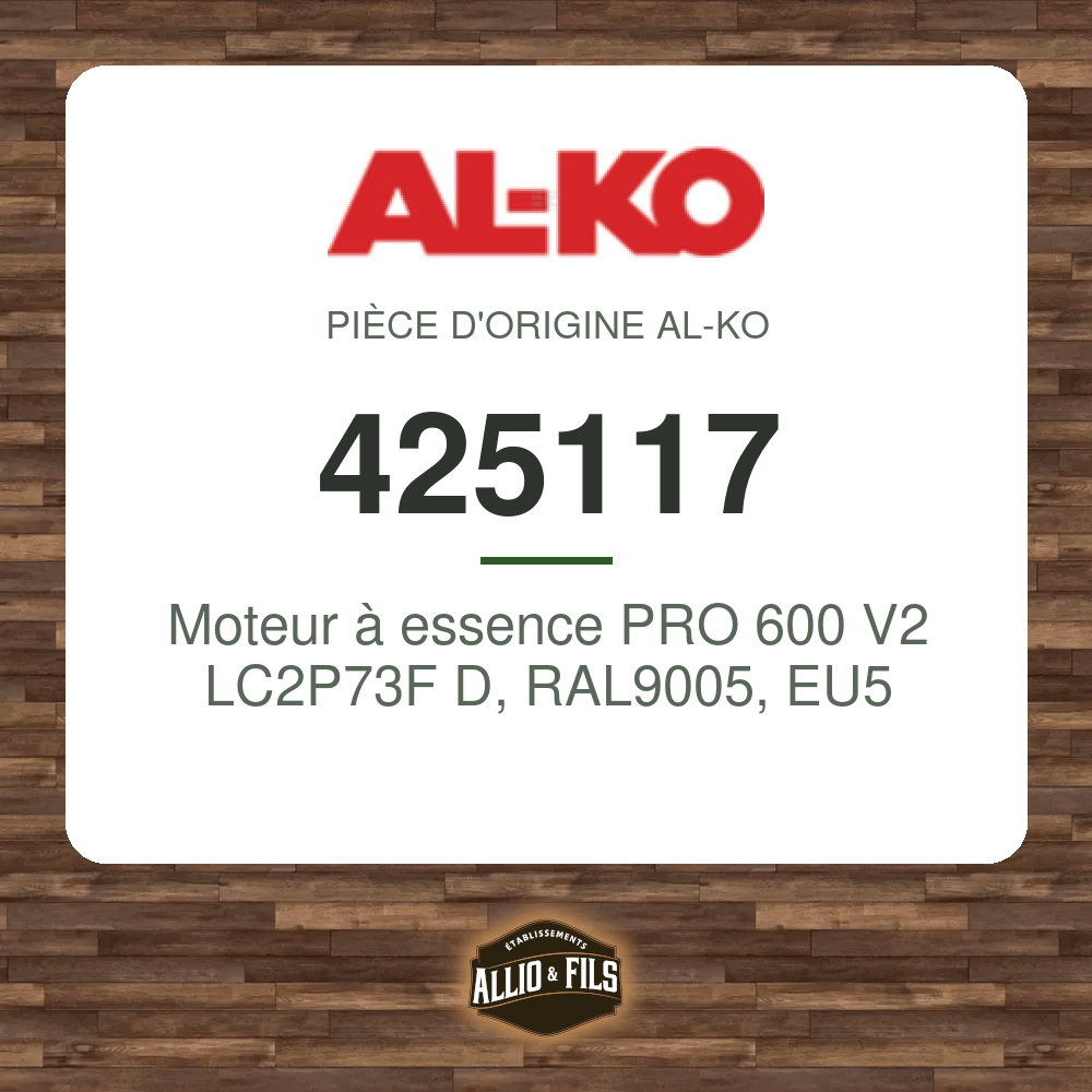 Moteur à essence PRO 600 V2 LC2P73F D, RAL9005, EU5 - AL-KO 425117