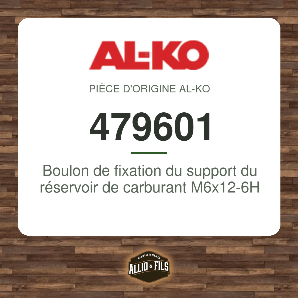 Boulon de fixation du support du réservoir de carburant M6x12-6H - AL-KO 479601